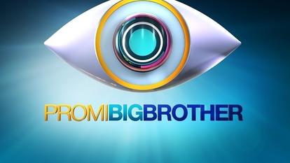 Promi Big Brother Stars Sat.1