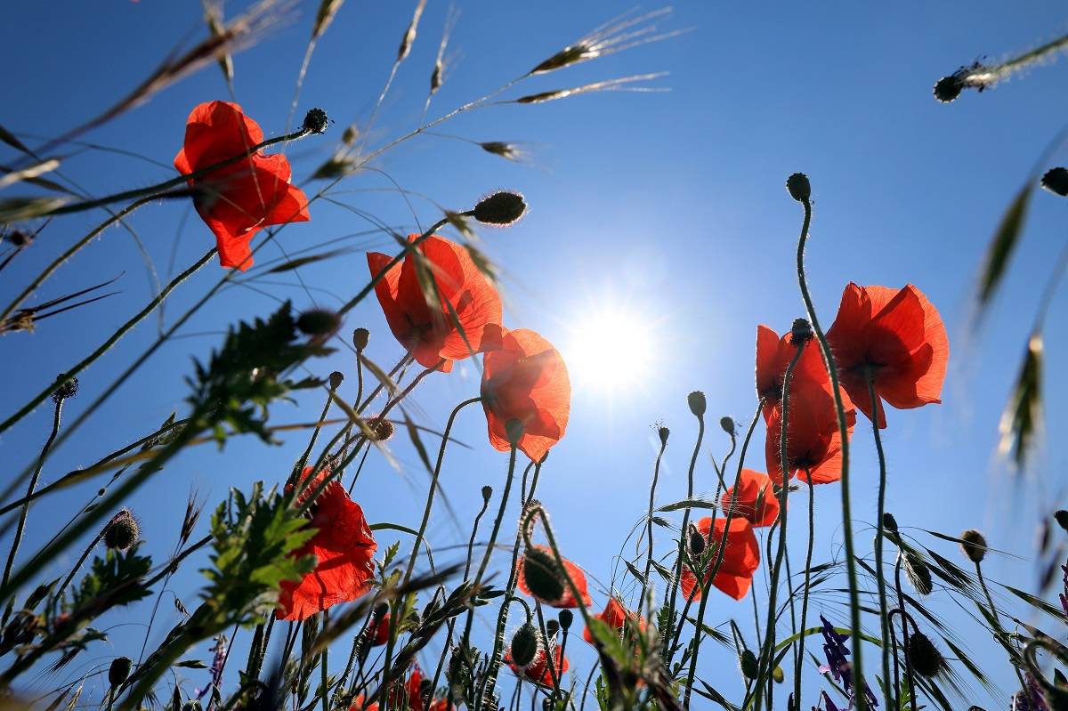 Sommer-Schlager 2018: Die Playlist für heiße Tage Sommer-Schlager 2018: Die Playlist für heiße Tage