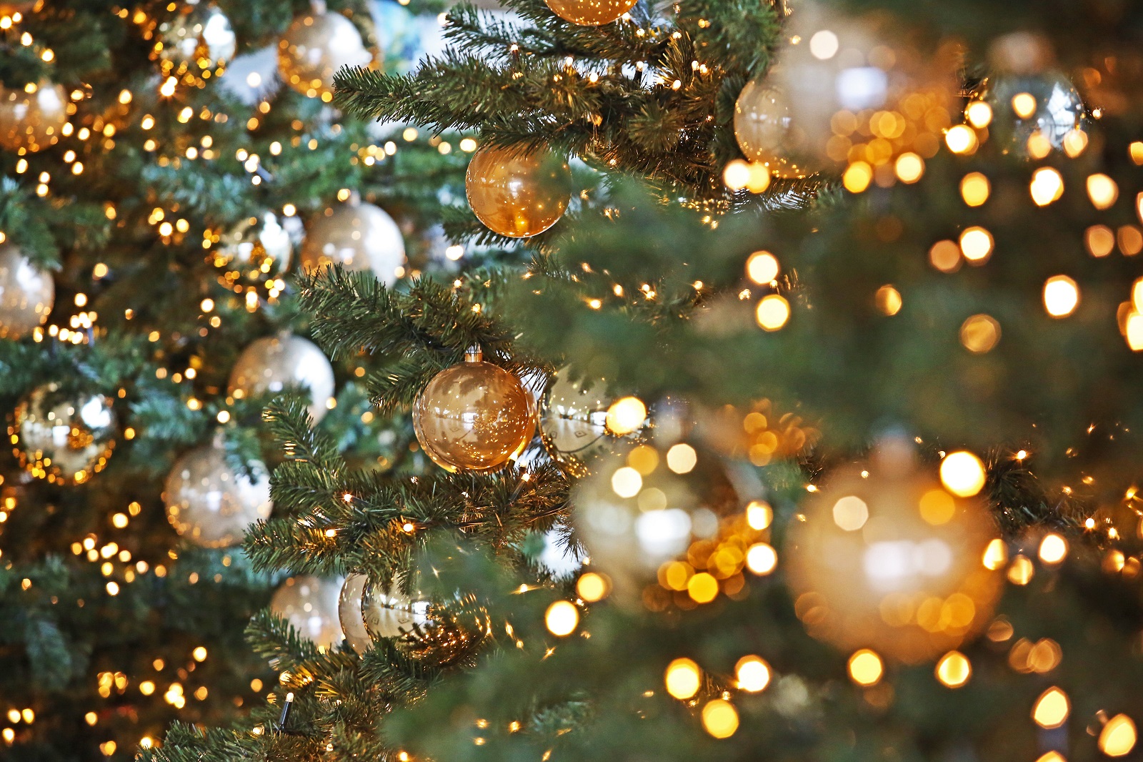 Weihnachten steht vor der Tür. Weihnachten steht vor der Tür.