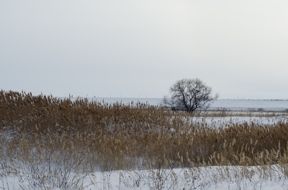 Ein Spaziergang an der frischen Luft belebt den Geist zum Nachdenken. Lieder zum Nachdenken