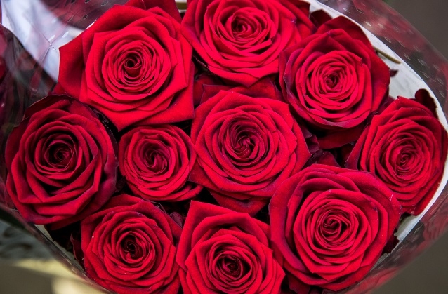 SchlagerPlanet-Videoplaylist: Die schönsten aktuellen Liebesschlager.