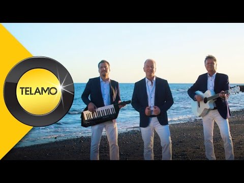 Zwei weiße Muscheln