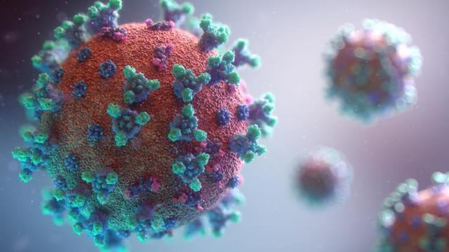 Lasst euch die Laune vom Corona-Virus nicht verderben! Lasst euch die Laune vom Corona-Virus nicht verderben!