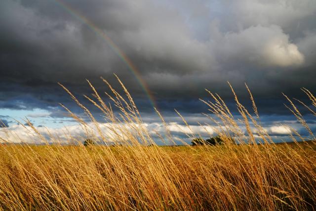 SchlagerPlanet hat sich für Euch auf die Suche nach dem Regenbogen begeben – und dabei echtes Schlager-Gold gehoben.