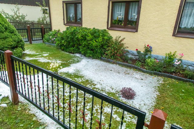 Ein Garten im Winter mit Schnee Ein Garten im Winter mit Schnee