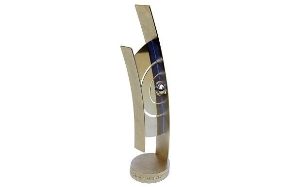 Auf diesen Award haben in der vergangenen Woche alle Stars gehofft - doch wohin damit nach der ECHO-Verleihung? ECHO 2014 Award