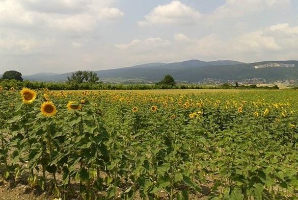 Der Sommer ist nun auch laut Kalender vorbei und die ersten Anzeichen des Herbstes sind da. Herbstanfang Hits