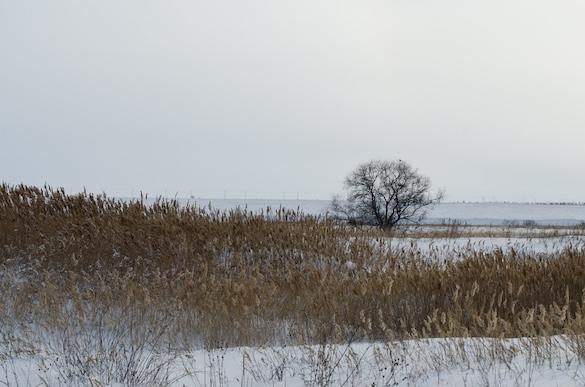Ein Spaziergang an der frischen Luft belebt den Geist zum Nachdenken. Lieder zum Nachdenken