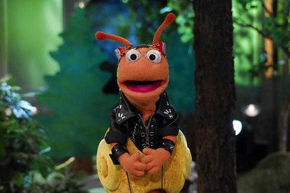 Zehn Nationen treten beim Sesamstraßen-Song-Contest mit ihren Liedern auf. Die Schnecke Finchen besingt einen Wald. Sesamstraßen-Song-Contest Deutschland