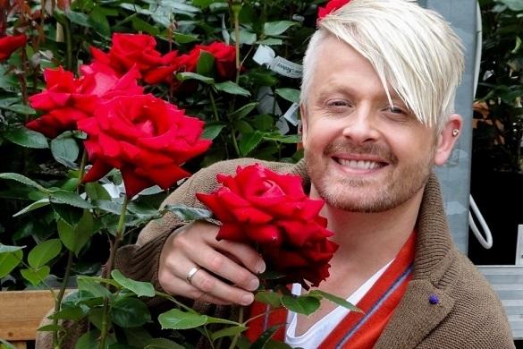 Die Ross Antony Rose von Ahrens + Sieberz kostet 19,95 Euro. Ross Antony Rose