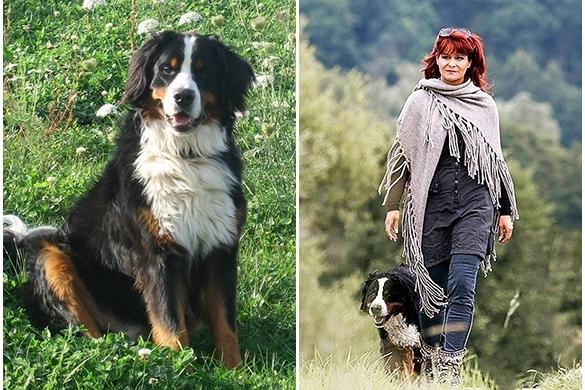 Es ist nicht ausschließlich Schmerz, den Andrea Berg beim Abschied von Hund Ben empfindet. Auch Dankbarkeit für eine schöne gemeinsame Zeit erfüllt ihr Herz. Andrea Berg Hund Tod