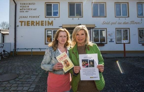 Schon seit mehreren Wochen ist die kleine Hündin Pascha als vermisst gemeldet. Jetzt nimmt sich auch Volksmusikstar Marianne Hartl der suche an. Marianne Hartl Marianne und Michael Hund vermisst