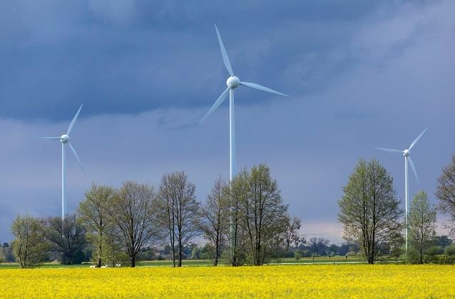 Der Welt-Wind-Tag will auf den Wind als wichtige Energiequelle hinweisen. Windräder prägen mittlerweile vielerorts das Landschaftsbild in Deutschland.
