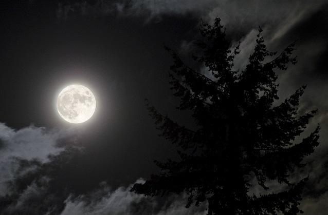 Im Mondlicht wurde schon so mancher Kuss gegeben. Auch deshalb steht der Mond für die Roomantik. Zum „Tag des Mondes“ haben wir die schönsten Schlager-Songs, die sich um den Himmelskörper drehen.