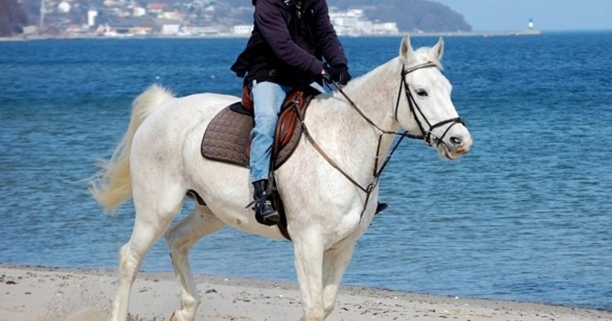 „Unsere Stars und ihre Jubiläen“ Mit „Muck“ SchulzeGerlach!