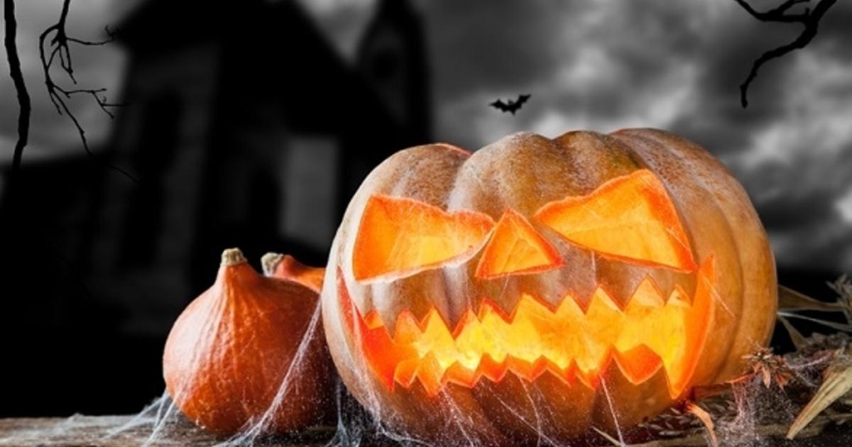 Halloween Wiki: Bräuche und Gruseln