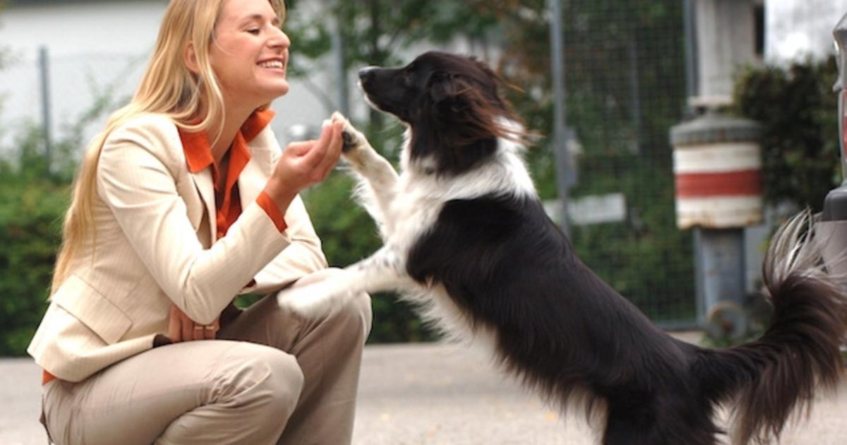 Tierschutz: Schlagerstars zeigen Engagement für Tiere