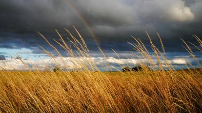 SchlagerPlanet hat sich für Euch auf die Suche nach dem Regenbogen begeben – und dabei echtes Schlager-Gold gehoben.