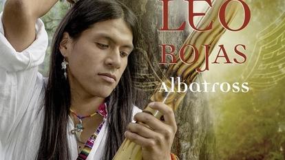 Leo Rojas Albatross Natur