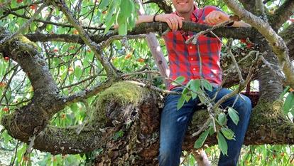 Maxi Arland Musik auf dem Lande