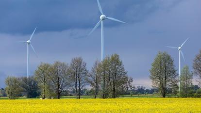Windräder prägen mittlerweile vielerorts das Landschaftsbild in Deutschland.