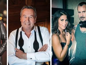 Radio Airplaycharts des Jahres: Bernhard Brink, Roland Kaiser, DJ Herzbeat