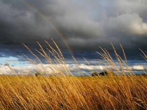 SchlagerPlanet hat sich für Euch auf die Suche nach dem Regenbogen begeben – und dabei echtes Schlager-Gold gehoben.