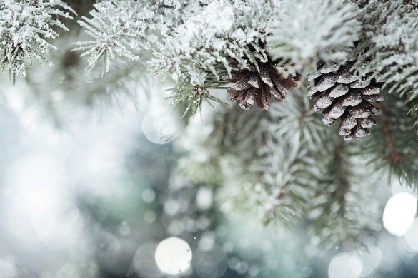 Winter Balladen Songs