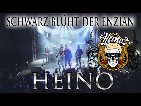 Schwarz blüht der Enzian