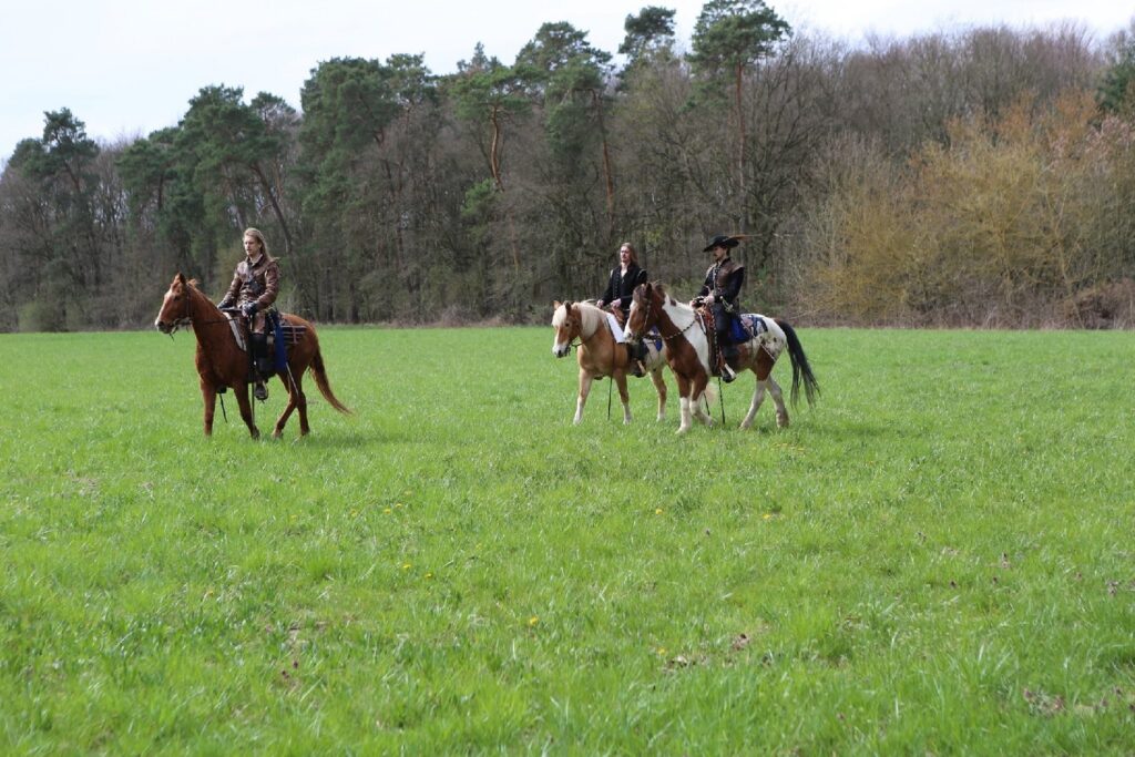 dArtagnan Musketier Band
