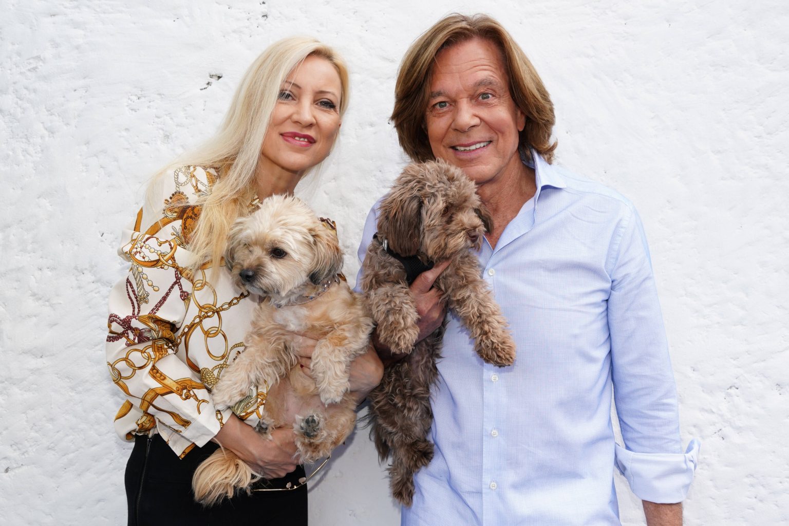 Das sind die süßen Vierbeiner unserer Schlagerstars