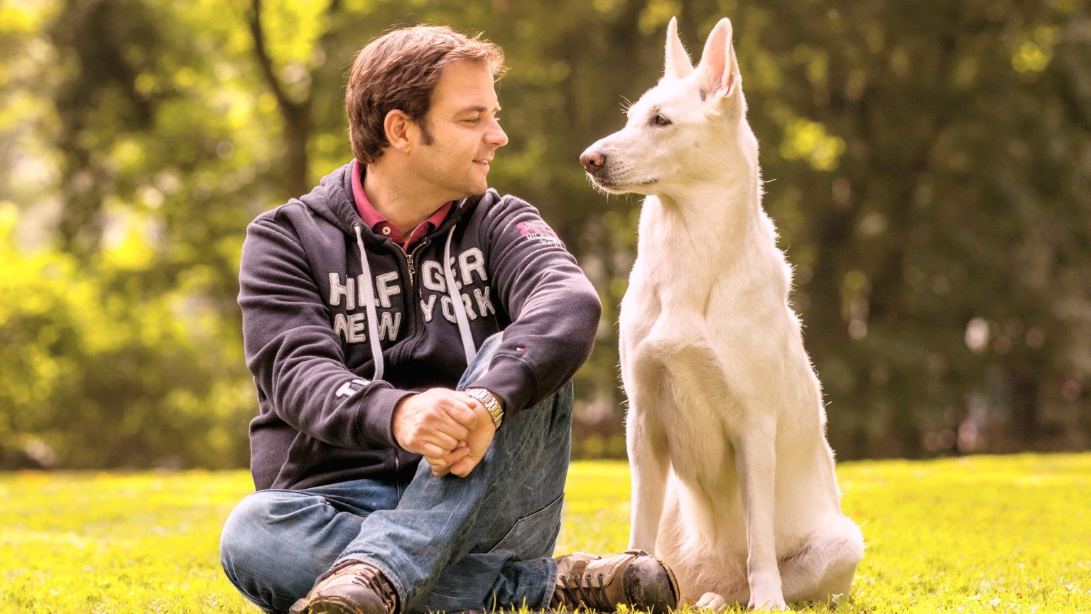 Martin Rütter: „Die Unvermittelbaren“ – Hundeattacke mit tödlichen Folgen
