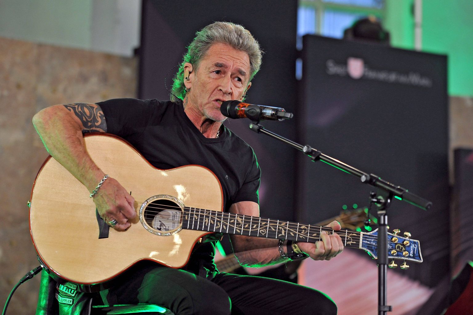 Peter Maffay: So hoch ist das Vermögen des Musikers