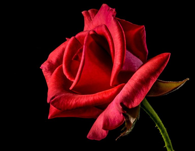 Macho-Problem bei „Die Bachelorette“! Riesen Abwehr gegen sexistisches Verhalten der Männer