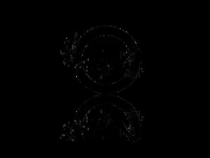 TOKIO HOTEL